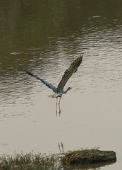 130607