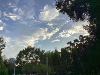 062C1C73-2D34-49DE-92E9-38A4F83B78D2/L0/001