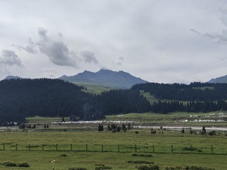 1000002664