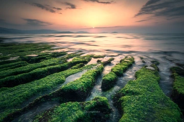 海之南