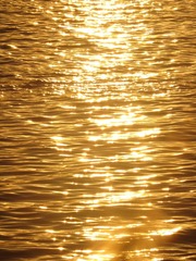 6F3035F2-D43C-440C-8C45-0D6E7D78AB54/L0/001