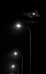 IMG_0215.jpg