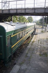 IMG_0256.jpg