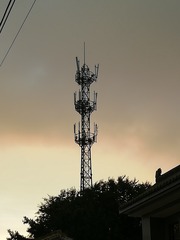 3321641