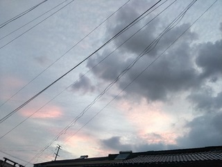 13010