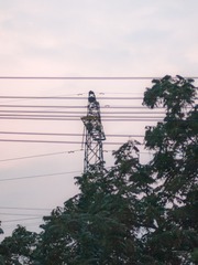 1000050725