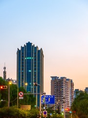 1000054431