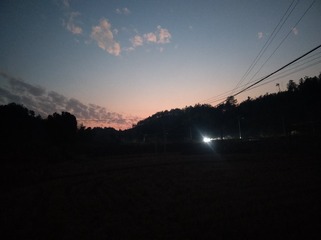 40
