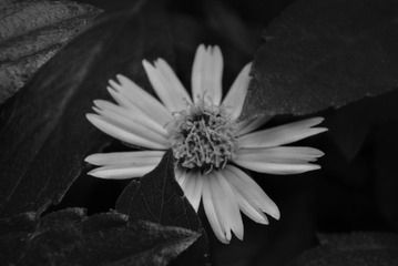 9E645877-3DD9-4EDA-AC96-41E2AD990D3B/L0/001