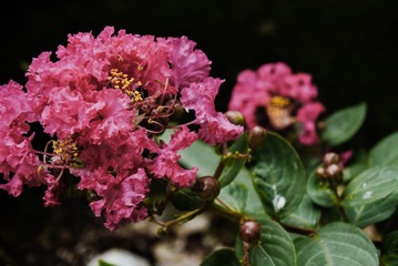 9B65EC5E-53FD-41CB-A446-C06F30B8322D/L0/001