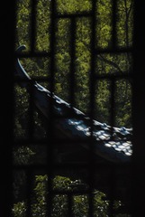A72F515E-5163-4371-8D20-F674A66C7585/L0/001
