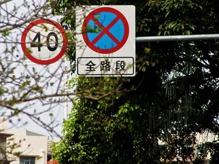 304909