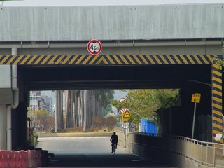 296209