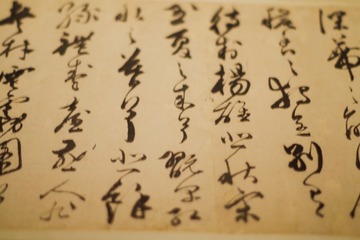 3145662