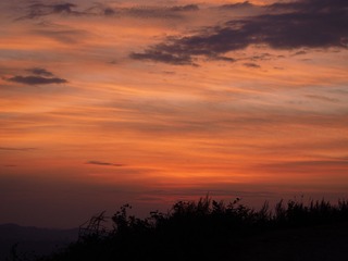 80C7CFC2-D902-476B-B8D5-49EB44EF0291/L0/001