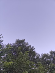 1000011742