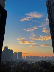 B56B58D5-6ABD-4052-A6C0-879D92E6EA96/L0/001