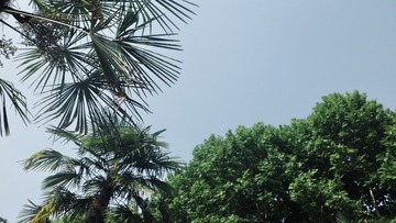 00EA32CB-A28E-43F6-AB9E-DB4E7BD46908/L0/001