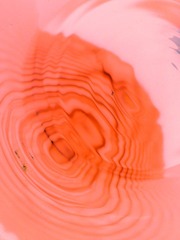 03.JPG