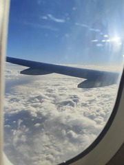 1000076967