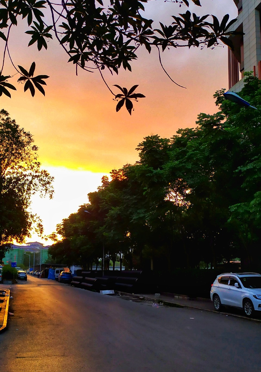 清晨的阳光照耀高楼似黄金屋