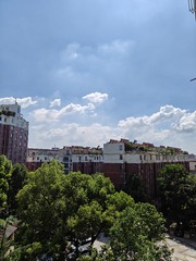 1000001956