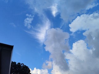 1000009684