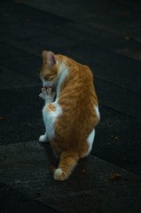122938
