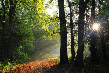 IMG_5804.JPG