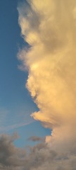 1000005124