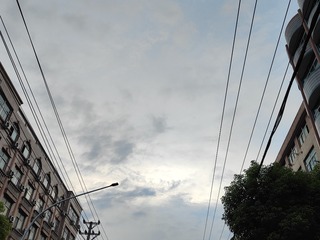 1000026775