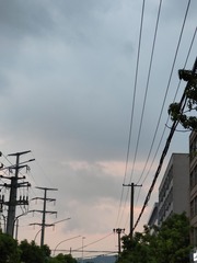 1000026628