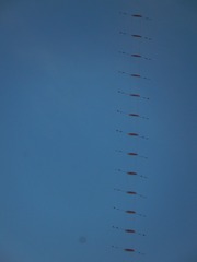 1000035831