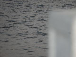 1000035787