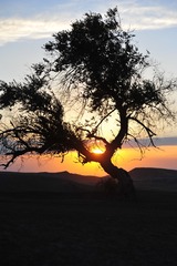 41B9D1A0-2CD9-4AAE-83FF-E201468407C5/L0/001