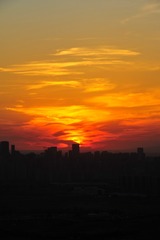 2F40E498-E027-40BD-9EF6-977396BD7CA8/L0/001