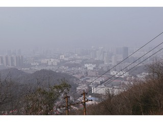 1000017429