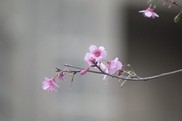 19012101-C4D4-44A0-90C2-C99A188F9536/L0/001