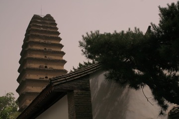 18085