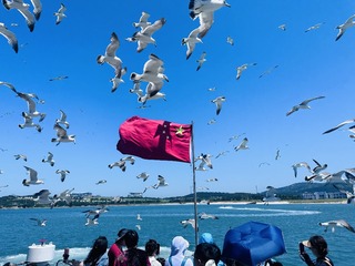 3140DEA1-27EA-466B-A76C-499D8A86B7B4/L0/001