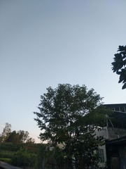43822