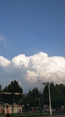 3851528