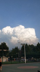 3851527