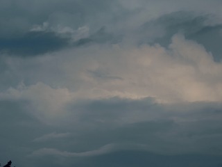 1000040687