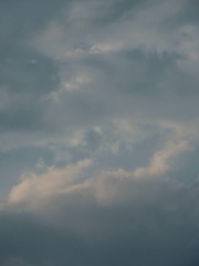 1000040688