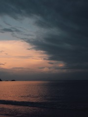 1000036534