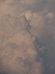 1170145