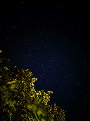 1000025134
