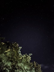 1000025120