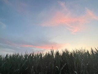 0F82E312-578A-4191-9E19-AACB8989C4DC/L0/001